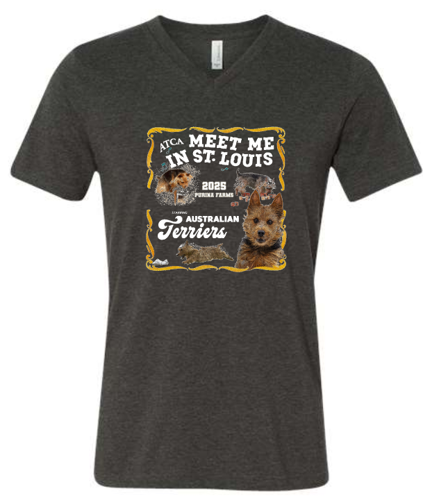 ATCA Short Sleeve Tee V-Neck
