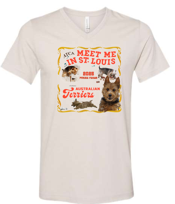ATCA Short Sleeve Tee V-Neck