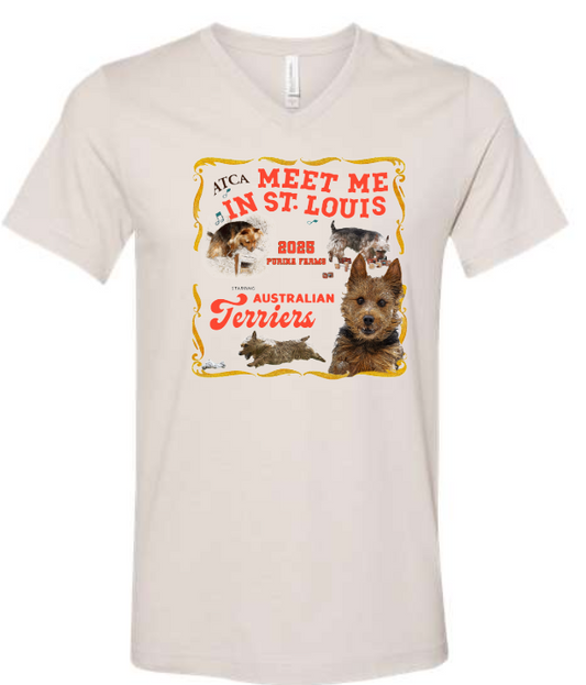 ATCA Short Sleeve Tee V-Neck